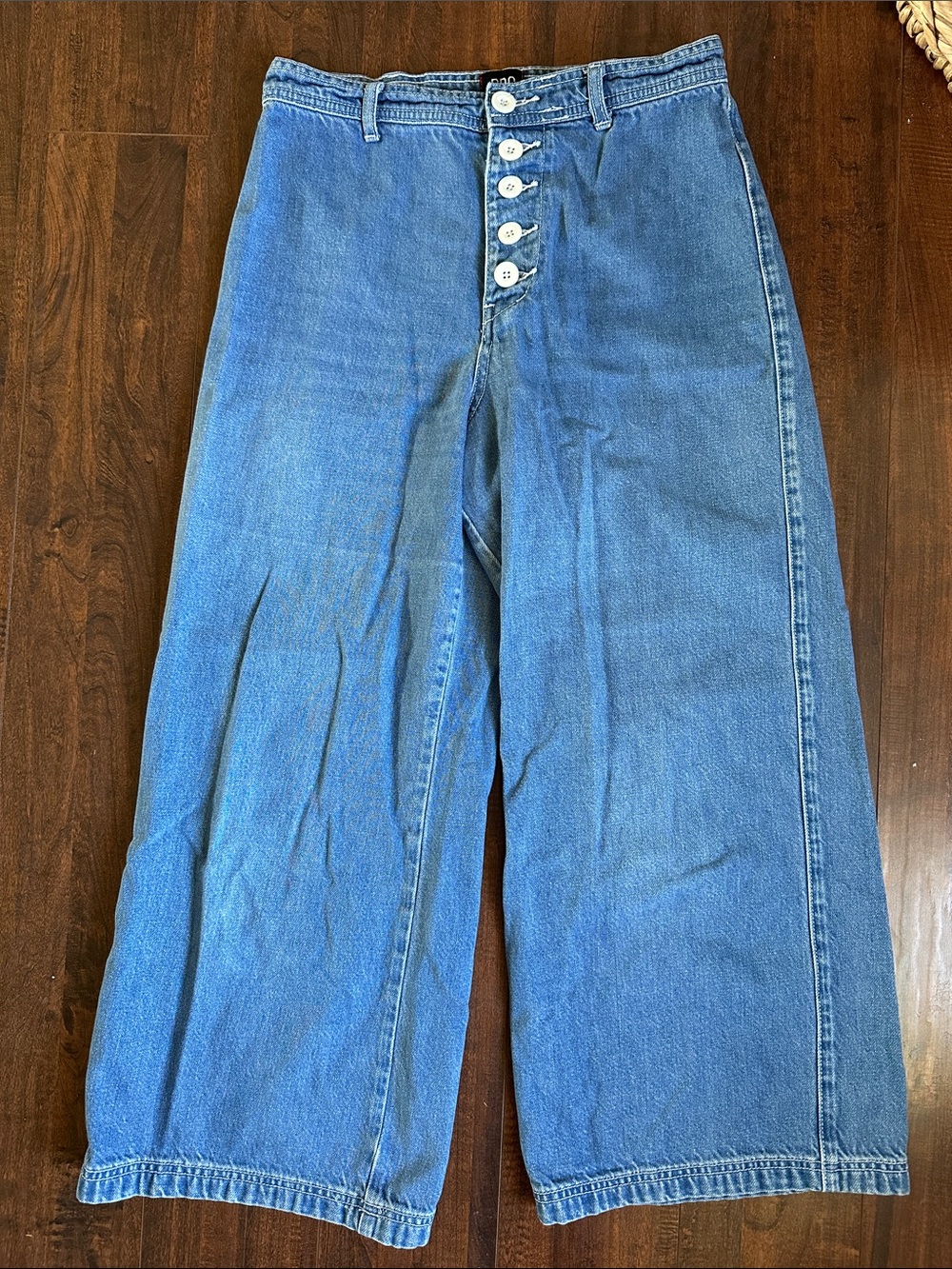 BDG High-Rise Wide-Leg Button-Fly Jeans in Blue